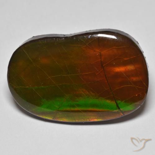22.58ct Natural Multicolorido amolita, Chique, Opaco