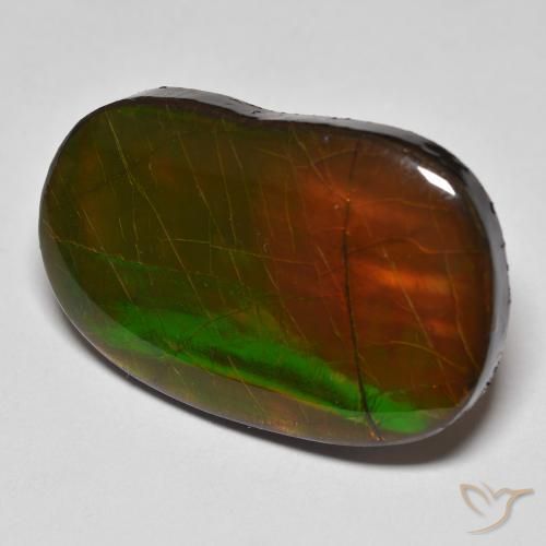 amolita Multicolorido Natural 22.58ct, Chique, Opaco