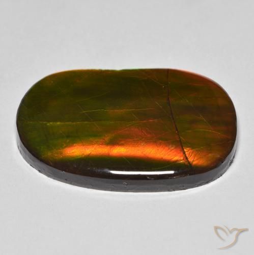 amolita Multicolorido Natural 22.58ct, Chique, Opaco
