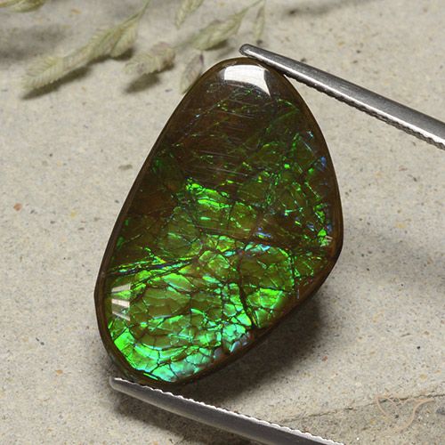 17.38ct Natural Multicolorido amolita, Chique, Opaco