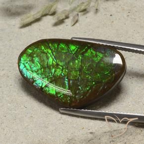 amolita Multicolorido Natural 17.38ct, Chique, Opaco