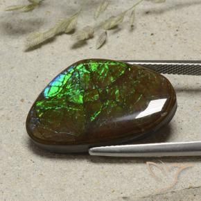 amolita Multicolorido Natural 17.38ct, Chique, Opaco