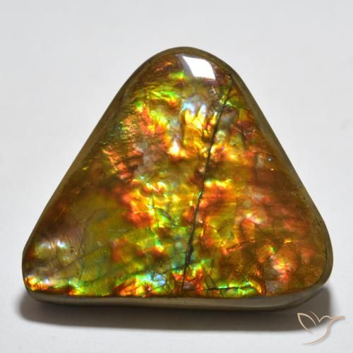 16.58ct Natural Multicolorido amolita, Trilhão, Opaco