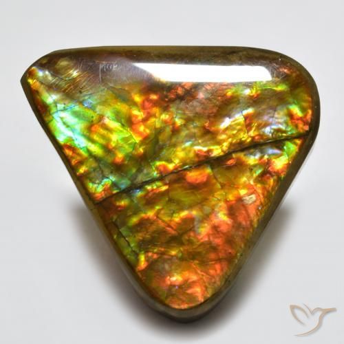 amolita Multicolorido Natural 16.58ct, Trilhão, Opaco