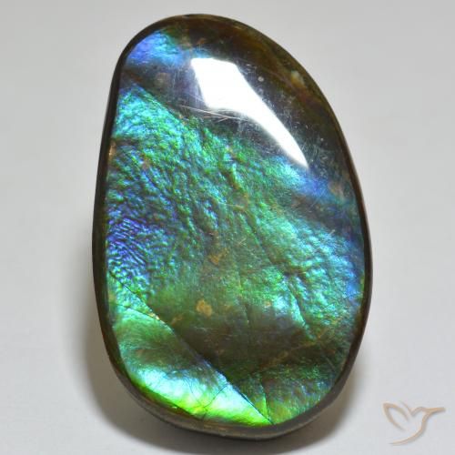 23.81ct Natural Multicolorido amolita, Chique, Opaco