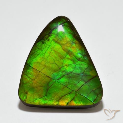20.44ct Natural Multicolorido amolita, Chique, Opaco