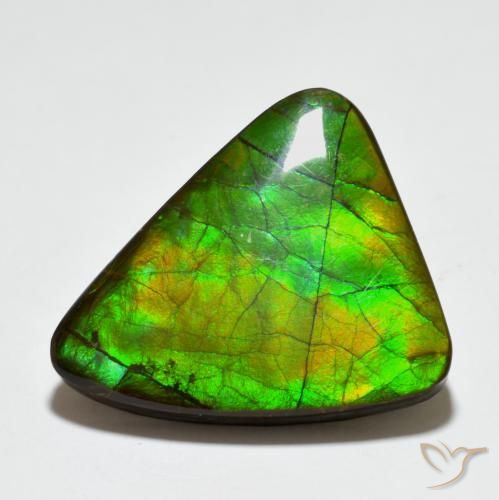 amolita Multicolorido Natural 20.44ct, Chique, Opaco