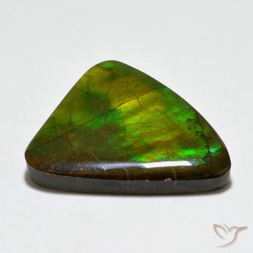 amolita Multicolorido Natural 20.44ct, Chique, Opaco