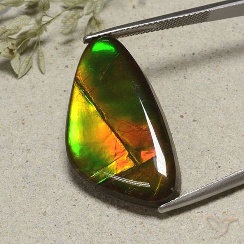 17.24ct Natural Multicolorido amolita, Chique, Opaco