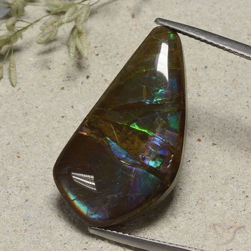 15.41ct Natural Multicolorido amolita, Chique, Opaco