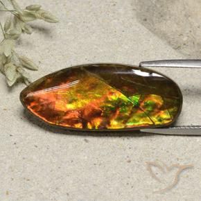 amolita Multicolorido Natural 15.74ct, Chique, Opaco