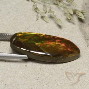 amolita Multicolorido Natural 15.74ct, Chique, Opaco