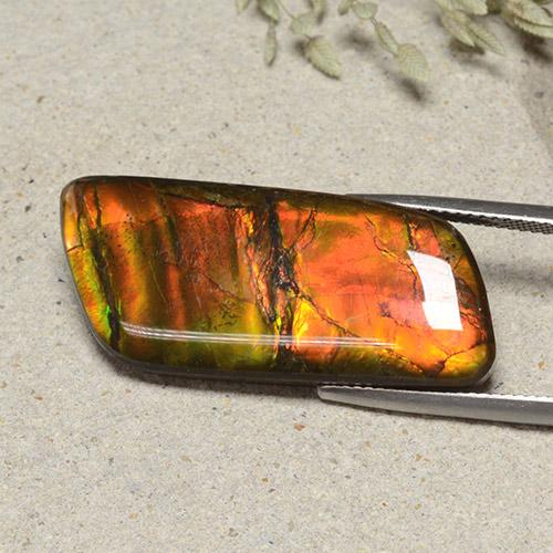 Ammolita multicolorido natural 18,82ct, forma extravagante, opaco
