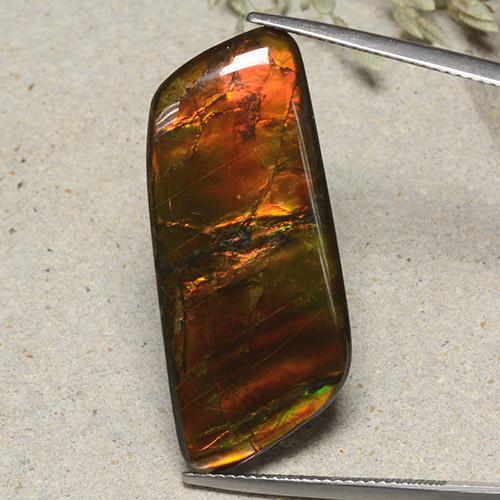 Ammolita multicolorido natural 18,82ct, forma extravagante, opaco