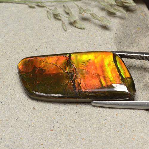 Ammolita multicolorido natural 18,82ct, forma extravagante, opaco