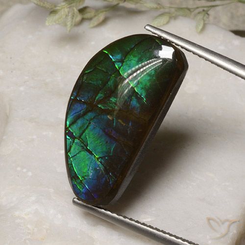 13.17ct Natural Multicolorido amolita, Chique, Opaco