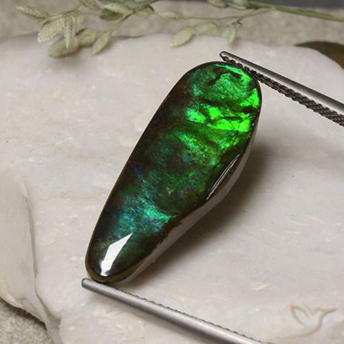 11.06ct Natural Multicolorido amolita, Chique, Opaco