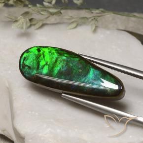 amolita Multicolorido Natural 11.06ct, Chique, Opaco