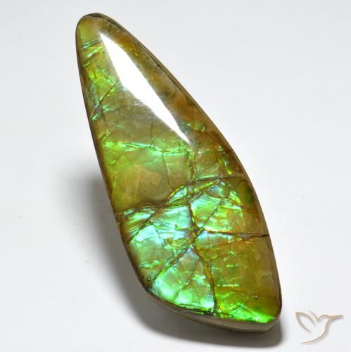 24.80ct Natural Multicolorido amolita, Chique, Opaco