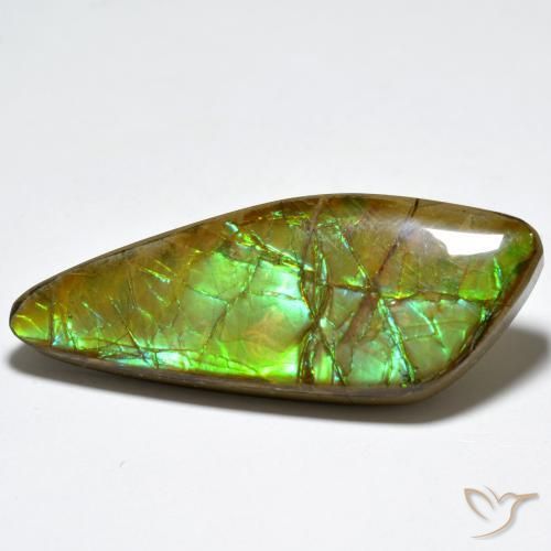 amolita Multicolorido Natural 24.80ct, Chique, Opaco