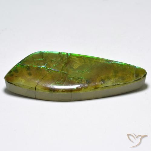 amolita Multicolorido Natural 24.80ct, Chique, Opaco