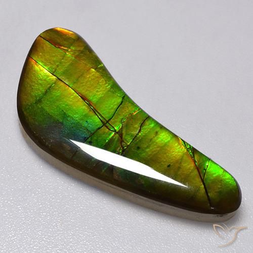 amolita Multicolorido Natural 13.02ct, Chique, Opaco