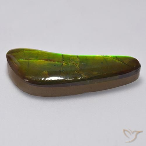 amolita Multicolorido Natural 13.02ct, Chique, Opaco