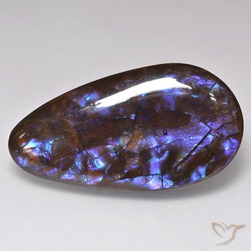 Ammolita multicolorido natural 20,69ct, formato de pêra, opaco