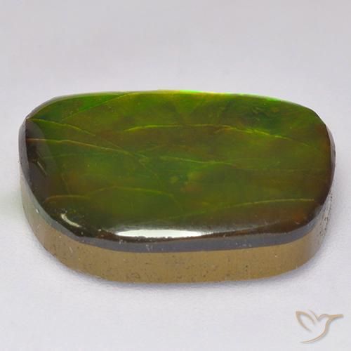 amolita Multicolorido Natural 11.49ct, Chique, Opaco