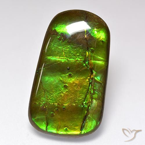 24.17ct Natural Multicolorido amolita, Chique, Opaco