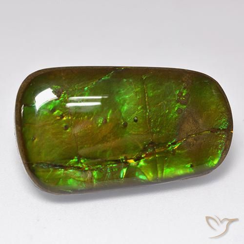 amolita Multicolorido Natural 24.17ct, Chique, Opaco