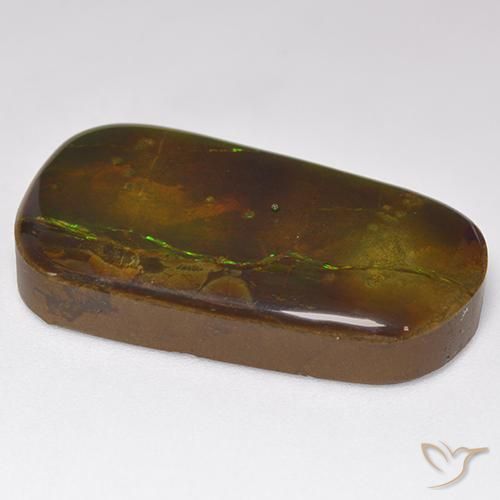 amolita Multicolorido Natural 24.17ct, Chique, Opaco