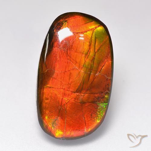 11.88ct Natural Multicolorido amolita, Chique, Opaco