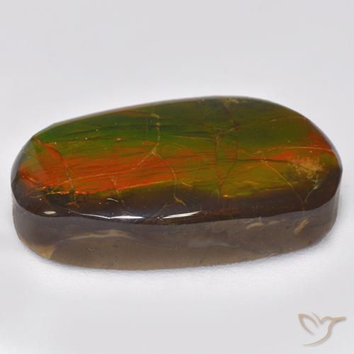amolita Multicolorido Natural 11.88ct, Chique, Opaco