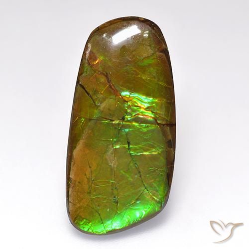 12.44ct Natural Multicolorido amolita, Chique, Opaco