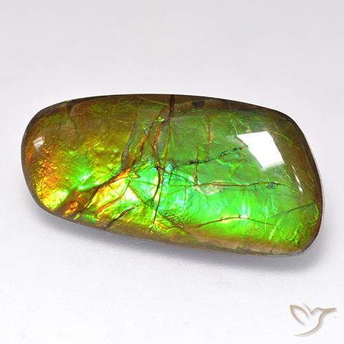 amolita Multicolorido Natural 12.44ct, Chique, Opaco