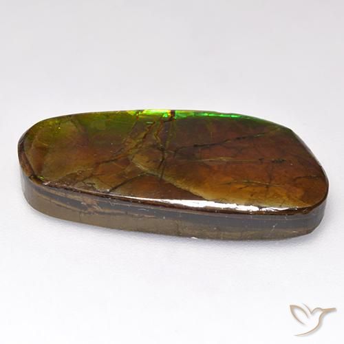 amolita Multicolorido Natural 12.44ct, Chique, Opaco