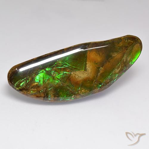 amolita Multicolorido Natural 22.02ct, Chique, Opaco