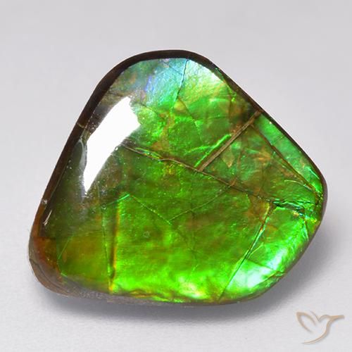 amolita Multicolorido Natural 9.81ct, Chique, Opaco