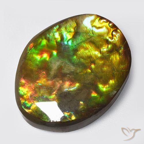 14.70ct Natural Multicolorido amolita, Chique, Opaco