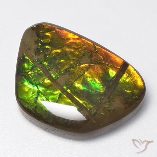 13.40ct Natural Multicolorido amolita, Chique, Opaco