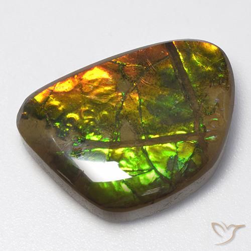 amolita Multicolorido Natural 13.40ct, Chique, Opaco