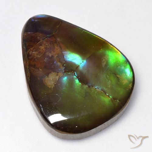 16.73ct Natural Multicolorido amolita, Formato de pêra, Opaco