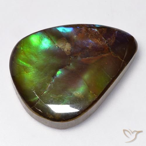 amolita Multicolorido Natural 16.73ct, Formato de pêra, Opaco
