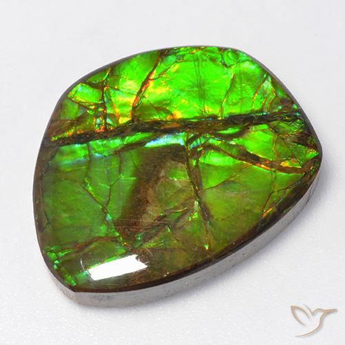15.50ct Natural Multicolorido amolita, Chique, Opaco
