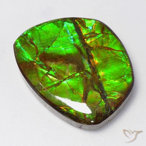 amolita Multicolorido Natural 15.50ct, Chique, Opaco
