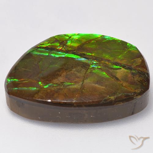 amolita Multicolorido Natural 15.50ct, Chique, Opaco