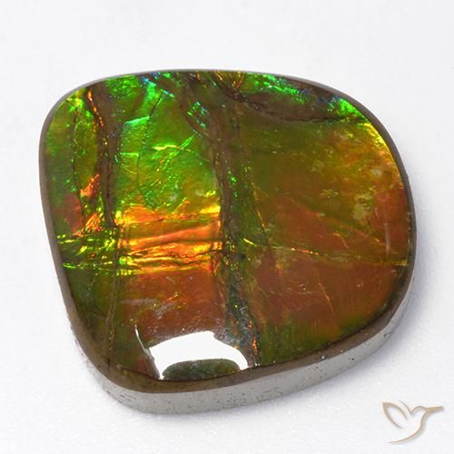 13.06ct Natural Multicolorido amolita, Chique, Opaco