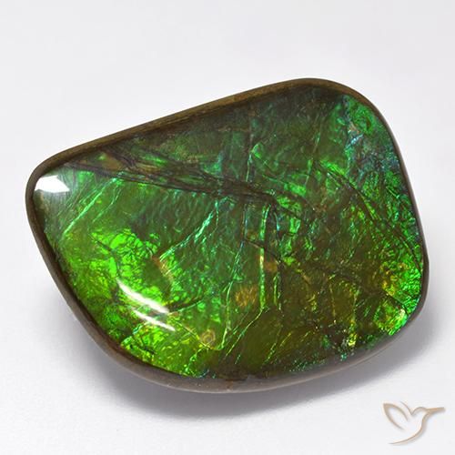 19.75ct Natural Multicolorido amolita, Chique, Opaco