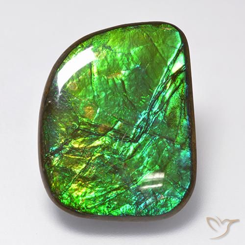 amolita Multicolorido Natural 19.75ct, Chique, Opaco